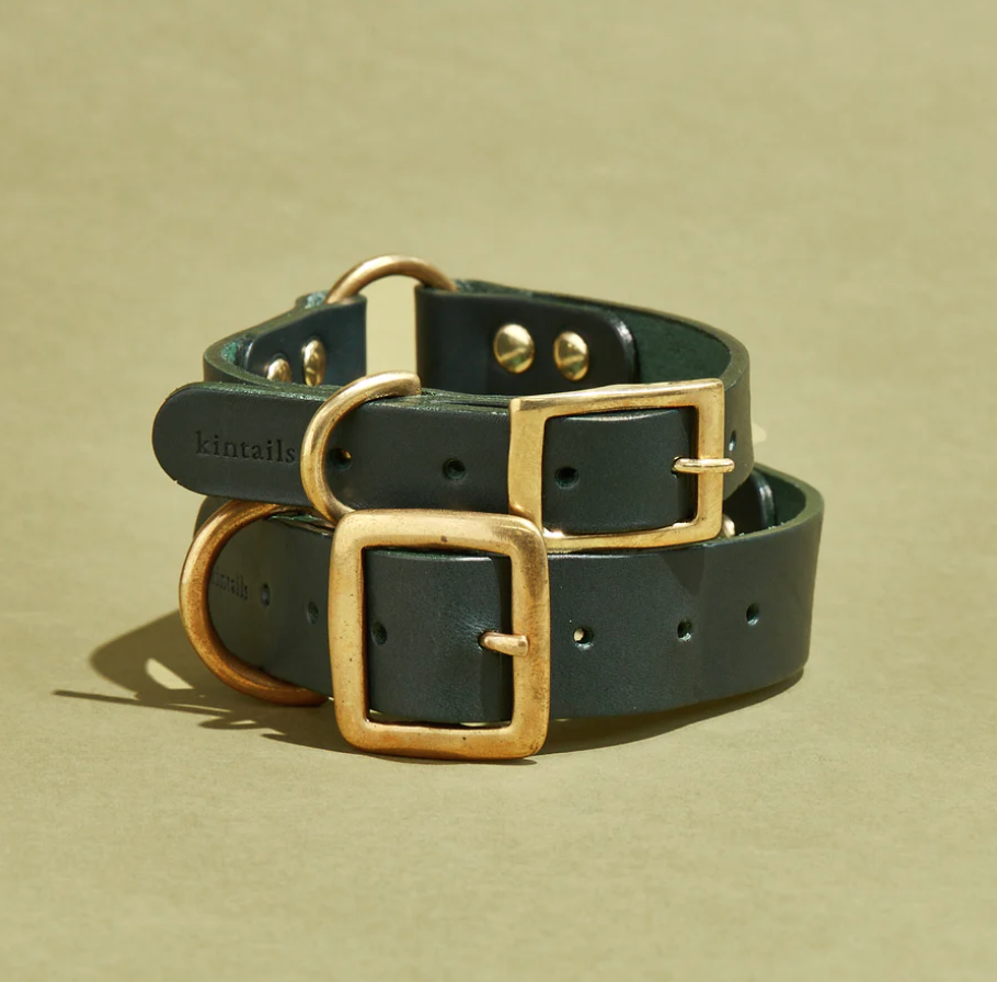 Leather and brass dog collars hotsell